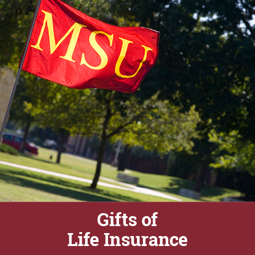 Photo of a MSU flag. Links to Gifts of Life Insurance